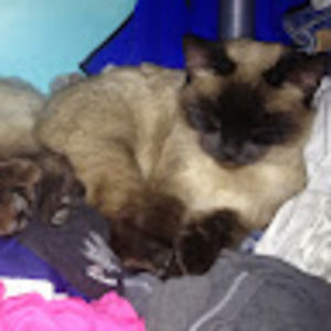 Meet your Posher, Rebecca